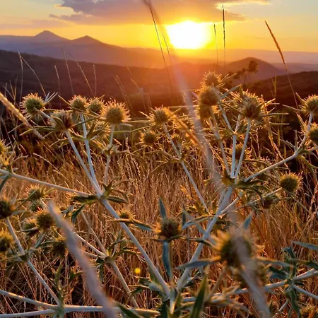 U Středohoře Prázdninový dům *