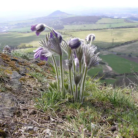 Prázdninový dům U Středohoře Hlinna